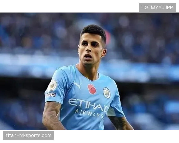 坎塞洛多面手角色 坎塞洛多面手角色