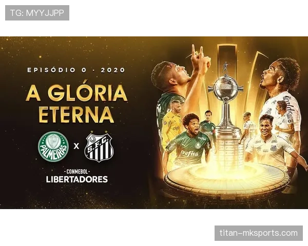 南美解放者杯争议事件最新进展